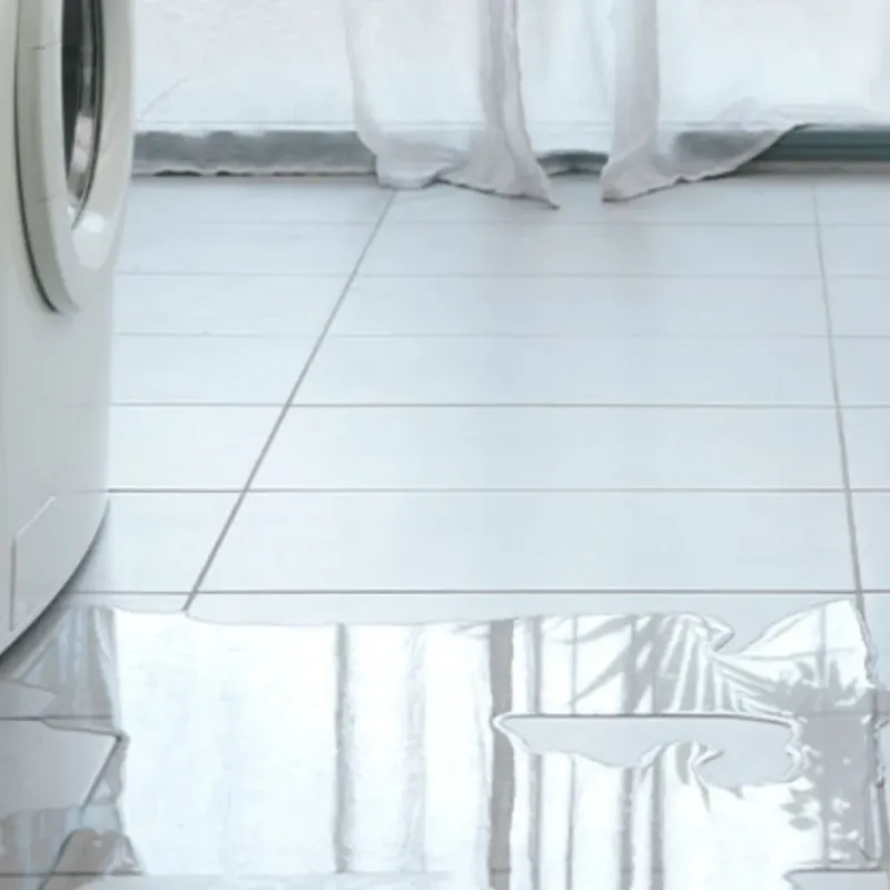 Appliance Leak Cleanup in Tyrone, GA