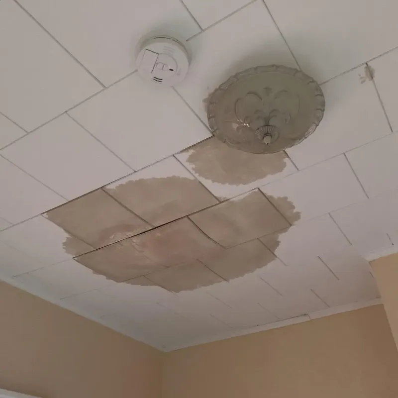 Ceiling Water Damage Repair in Tyrone, GA