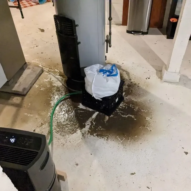 Sewage Backup Cleanup Service in Tyrone, GA